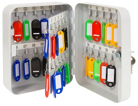 ARREGUI PLL40 Schlüsselschrank | Schlüsselkasten | Schlüsselbox aus lackiertem Stahl | Abschließbar mit 40 Haken und Schlüsselschloss | inkl. 40 beschriftbare Schlüsselanhänger | 20x16x8 cm | Grau