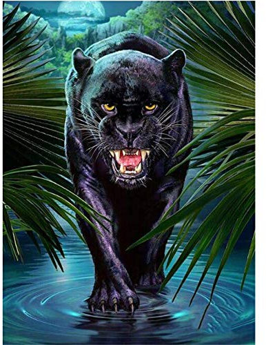 Erwachsene/Kinder DIY 5D Diamond Painting Bilder Set Black-Panther-Landschaft 40x50cm Full Drill kristall Strass komplettesr Stickerei Kreuzstic Kunsthandwerk für Zuhause Wand Dekoration Kunst