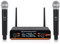 micfuns D20 Professional Mikrofon-Sets Wireless 2 Handheld UHF 230-250 MHz Mikrofonsystem 100 m Entfernung für Karaoke, Party, Sprache (D20-2)