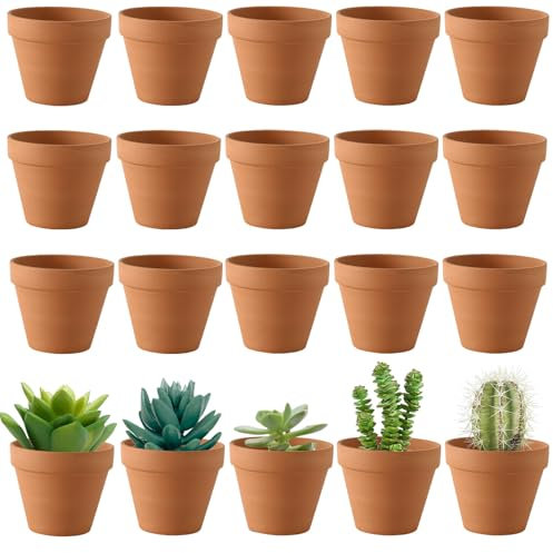 20 Piezas Macetas Barro Mini, 3.5cm Macetas pequeñas, Macetas de Barro Rojo, Mini Macetas para Flores de Terracotade Terracota con Agujero de Drenaje, Macetas Decorativas Tiestos para Plántulas