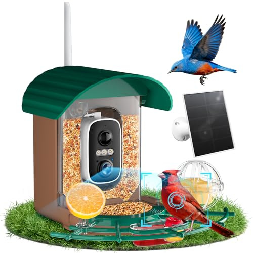 NIORSUN Smart Bird Feeder with Camera Solar Powered, 2K HD Video AI Recognition Feeder with Instant Notifications, Eagle Alarm, Infrared Night Vision, for Family and Bird Lovers, Green