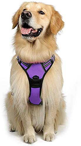 rabbitgoo Hundegeschirr Mittelgroße Hunde, Anti Zug Geschirr mit Kontrolle, No Pull Verstellbar Hundegeschirr Grosse Hunde, Atmungsaktiv Reflexstreifen Brustgeschirr Sichere Führung Lila L