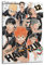 GLUC Haikyu!-Poster, klassisches Film- und Fernsehposter, Album, Poster, Teenagerzimmer, Wanddekoration, 20 x 30 cm, Rahmenstil