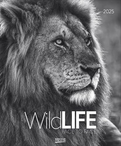 WildLife - face to face - Kalender 2025 - Art-Format - Korsch-Verlag - Fotokalender mit Tierportäts in schwarz-weiß - 45,5 cm x 55 cm