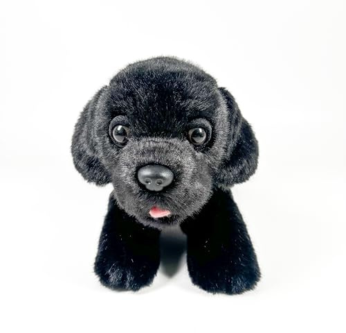 Fundación Bocalan Plüschtier, Labrador, Schwarz, 21 cm, mit Weste, + 0 Monate (DeQube 939D00249)