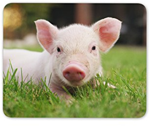 Cute Piglet Mouse Mat Pad Pink Pig Animal Farm Computer PC Gift #8132