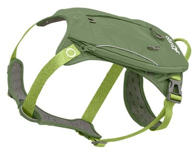Kurgo Cascade-Hundegeschirr, Hundegeschirr mit Rucksack, Wanderrucksack für Hunde, Größe M, Grün