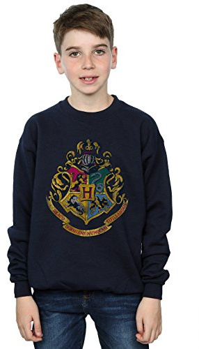 Harry Potter Boys Quidditch at Hogwarts Sweatshirt