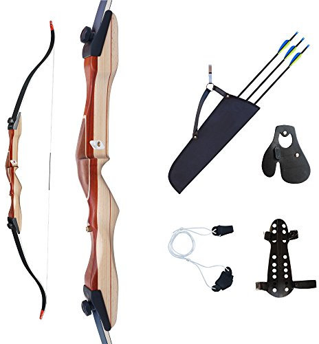 Bogenset Einsteigerset Recurvebogen Ragim Wildcat Black mit Carbonpfeilen 32 lbs