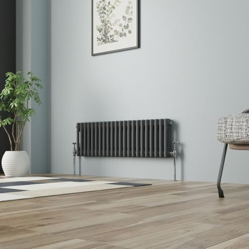 NRG Radiateur de salle de bain traditionnel en fonte Anthracite 300 mm