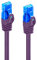 Cable de conexión Ethernet Cat.5e U/UTP transmisión hasta 1Gigabit, 2 Conectores RJ45, Cable de PVC, CCA, AWG 26/7. Ideal para transmisión por Fibra óptica con Gigabit/LAN regi, 1 m, Púrpura