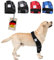 Nature Pet ® Ellenbogenbandage Hund/ELiegeschwielenbandage mit Netzeinsatz für Kühl- oder Wärmepads (L Blau)