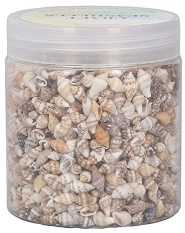 Qcwwy 1 Dose Winzige Muscheln, Muscheln, Nicht Poröse, Natürliche Spiralmuscheln, Conch, Winzige Mini-Muscheln für DIY-Aquarium-Landschaftsbau, Treibflaschen-Dekoration