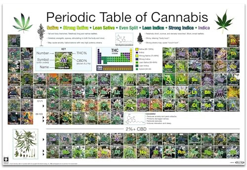 Close Up Periodic Table of Cannabis Periodensystem der Hanfsorten (91,5cm x 61cm)