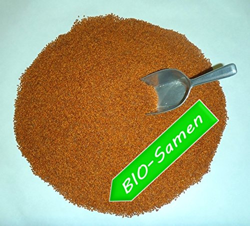 Kresse BIO Gartenkresse Cresso 100g frische Ware Samen