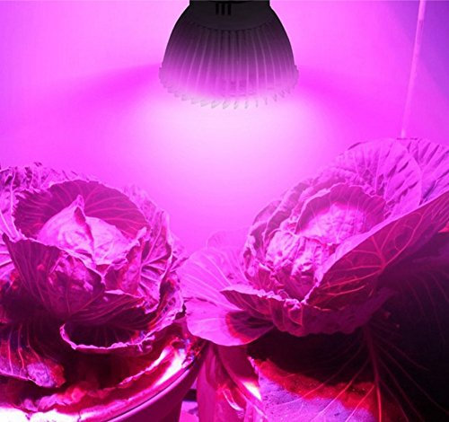 Wankd 18W LED Pflanzenlampe Vollspektrum, GU10 für Zimmerpflanzen Grow Light, LED Wachstumslampe mit Hoch PPFD für Gewächshaus, Garten, Blumen, Gemüse, Hydroponik