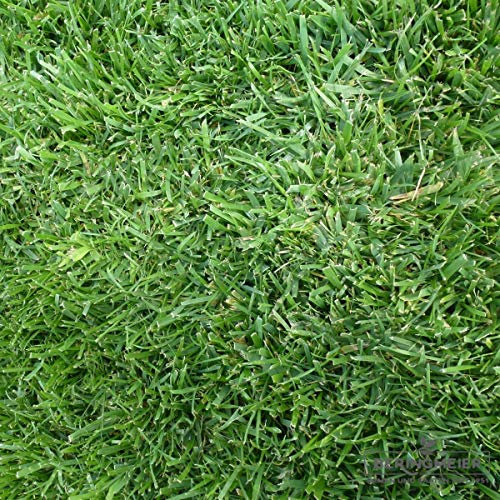 Grassamen Rasensamen Gerbrauchsrasen für Trockenlagen RSM 2.2.1 (1 Kg)
