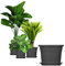 BigDean 3X Blumentopf Ø 45 cm Farbe Anthrazit & Untersetzer Kunststoff Pflanztopf Containertopf Übertopf Pflanzkübel rund 45 x 32 cm Blumentöpfe