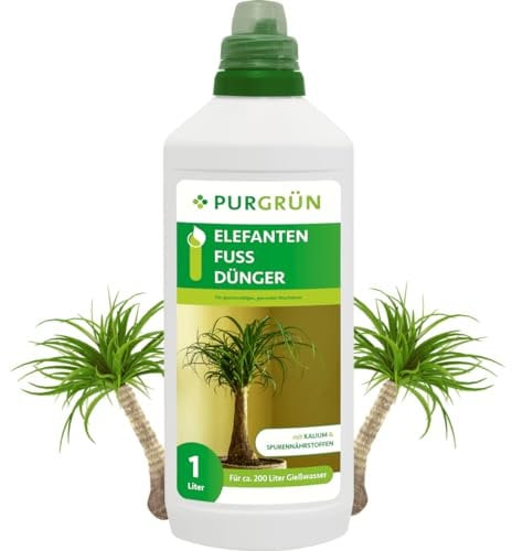 Purgrün® Elefantenfuß-Dünger 1 Liter – Spurennährstoffe für gesundes Wachstum – Extra Kalium fördert die Widerstandskraft – Ergiebiges Konzentrat für 200 Liter Gießwasser – Premium-Flüssigdünger