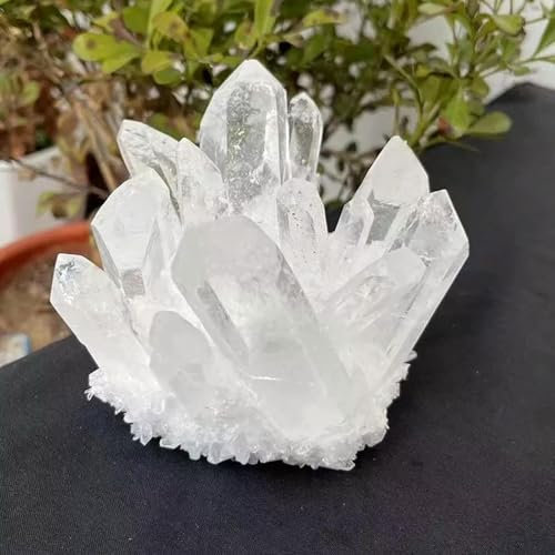 Geoda drusa de Cuarzo Blanco, Grupo de Cristales Transparentes Naturales de 150 g