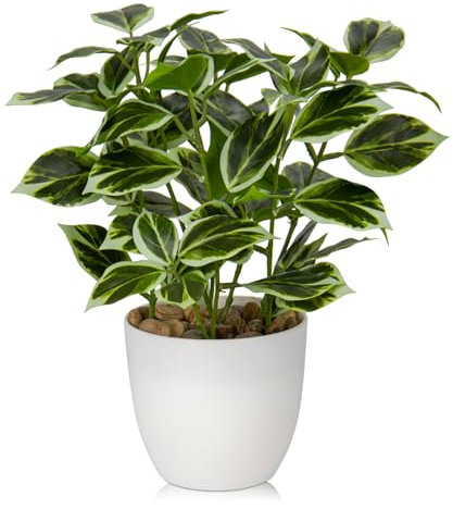 Briful Kunstpflanze Wie Echt Künstliche Ficus Pflanzen im Topf Kleine Dekopflanze für Fensterbank Wohnzimmer Badezimmer Dekoration