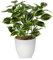 Briful 25cm Small Fake Plants Artificial Greenery Artificial Plants Indoor in Pot, Faux Potted Plant Artificial Desk Plant for Farmhouse Home Garden Party Decoration