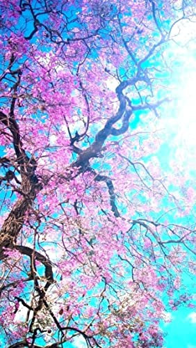 1000 Pieces Puzzle Art Arbre De Fleur De Cerisier Japonais 75 * 50Cm