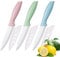 Zhiyun 3 PCS Ceramic Knives, Paring Knife,4 Inch Zirconia Blade with Sheath,Colorful Knife use for Meat Fruit Vegetable and Bread (Green Blue and Pink)