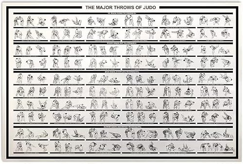 FJQWKLF The Major Throws Of Judo Knowledge Metallblechschilder, Vintage-Judo-Bildungsposter, Club, Judo, Halle, Wohnzimmer, Schlafzimmer, Zuhause, Wanddekoration, 30,5 x 40,6 cm