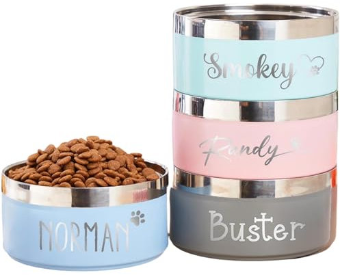 Personalisierter Futternapf für Hunde und Katzen, mit Namen, Edelstahl, farbiger Futternapf, individuelles Haustierzubehör, Geschenk