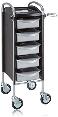 Efalock Piccolo Original 6002, stabiler und langlebiger Friseur Arbeitswagen Salon Trolly Rollwagen Stapelboy mit 5 Schubladen und Rollen, Silver & Black