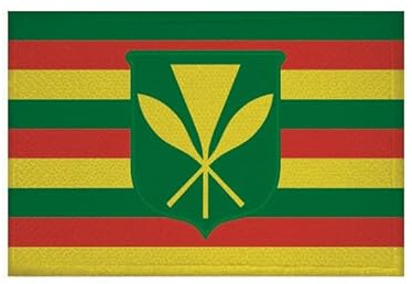 U24 Aufnäher Kanaka Maoli Hawaii Fahne Flagge Aufbügler Patch 9 x 6 cm