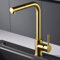IMEX - Grifo de Cocina Extraible | Grifo Monomando Fregadero | Griferia de Cocina con Mangera Flexible 360º | Serie Malta | Color Oro Cepillado