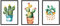 Nacnic Set 3 Stampe artistiche vintage. Sfondo stampe con colori verdi rapprsentazione vegetale. immagini di cactus vintage
