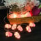 Niedliche Tierform Nilpferd LED Lichterketten Batteriebetriebenes Nachtlicht für Indoor Outdoor Halloween Weihnachten Thanksgiving Home Party Kinder Kinder Schlafzimmer Dekoration (Nilpferd)
