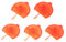 Sharplace 5X Flat Fan Nozzle Foam Expansion Polyurethane Spray Applicators Filling Heavy Duty Polyurethane Foam Spray Nozzle