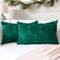 Artscope 2er Set Wolle Kissenbezüge Weicher Plüsch Kurzer Wollsamt Dekokissenbezuge Weihnachten Sofakissen Europäische Kissenhülle für Sofa Schlafzimmer Schneeflocke Grün, 30x50cm