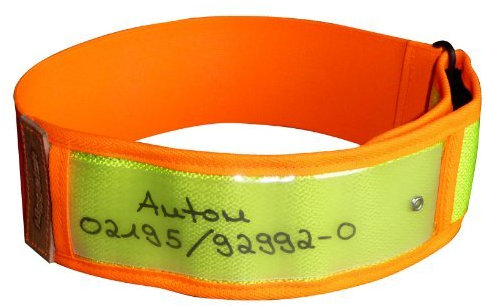 Niggeloh Hundewarnhalsung, gelb, S/M, 101100028