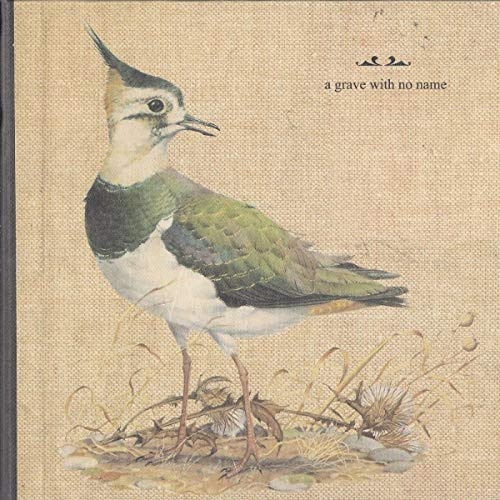 Feathers Wet, Under the Moon