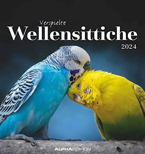 Wellensittiche 2024 - Postkartenkalender 16x17 cm - Budgies - zum Aufstellen oder Aufhängen - Monatskalendarium - Gadget - Mitbringsel - Alpha Edition