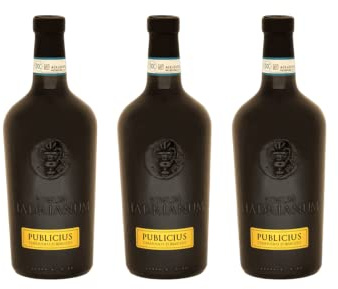 Vinum Hadrianum PUBLICIUS 2021 Vino Cerasuolo DOC Affinato in Anfora di Argilla,UVE 100% Montepulciano DOC,25,36 Once (750 ml)-3 Bottiglia,4.5 kilograms