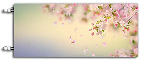 XOF Magnet Heizkörperabdeckung, Heizkörperverkleidung - BLÜTENBLÄTTER VON Blumen