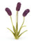 Pins Broschen for Röcke Pullover Schal Revers Hut Lila Braun Fuchsschwanz Gras ES Damen Herren Emaille Hochzeiten Pins luxuriös (Color : Purple)
