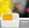 Bienen-Starter-Set Garten Landwirtschaft Ernte Biene Bienenzucht King-Box Bestäubungsbox Bienenzucht-Werkzeug Paarung Nuc Bienenzucht