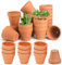HDKAJL 30 Pezzi Vasi Per Piante, Vasetti Per Piantine, Mini Vaso Terracotta Con Foro Di Scarico, Vasi In Terracotta Fioriera In Ceramica Per Piante Succulente Di Cactus Per Interni/Esterni