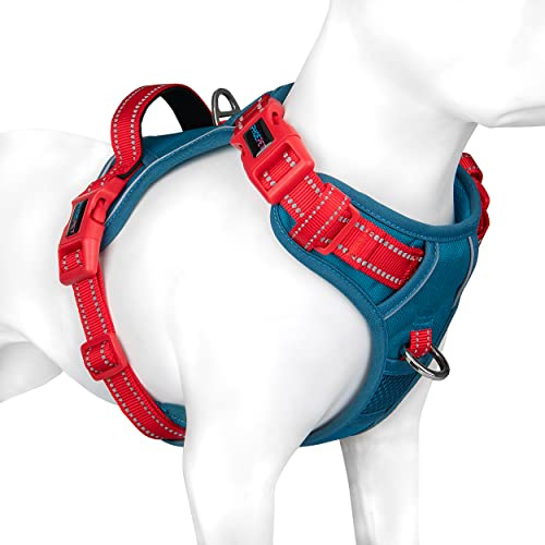 PHOEPET Dog Harness Medium Dog, No Pull Vest with Handle, Reflective Strap | (Teal Base & Red Straps,M),Easy to Wear & Fully Adjustable, 2 Metal Clips, Quick-Release Buckles,Breathable Padding