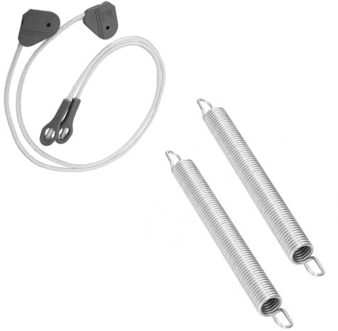 Aspares Lot de 2 charnières de porte et ressorts pour lave-vaisselle Beko 1881050100 et 1881030100