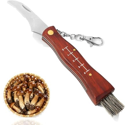 Coltello per Funghi Con Spazzola, Coltellino per Raccogliere in Acciaio Inox, Coltello Micologica Manico in Legno, Coltellino a Serramanico da Fungh Professionale, Coltelli da Giardinaggio da Esterno