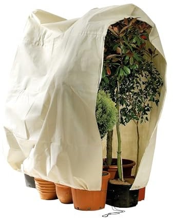 Bio Green VS 240-200 Maxi Housse d’Hivernage