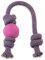 Beco Pets Ball on Rope - Natural Rubber Ball and Cotton Rope Tug and Chew Toy for Dogs - S - Pink